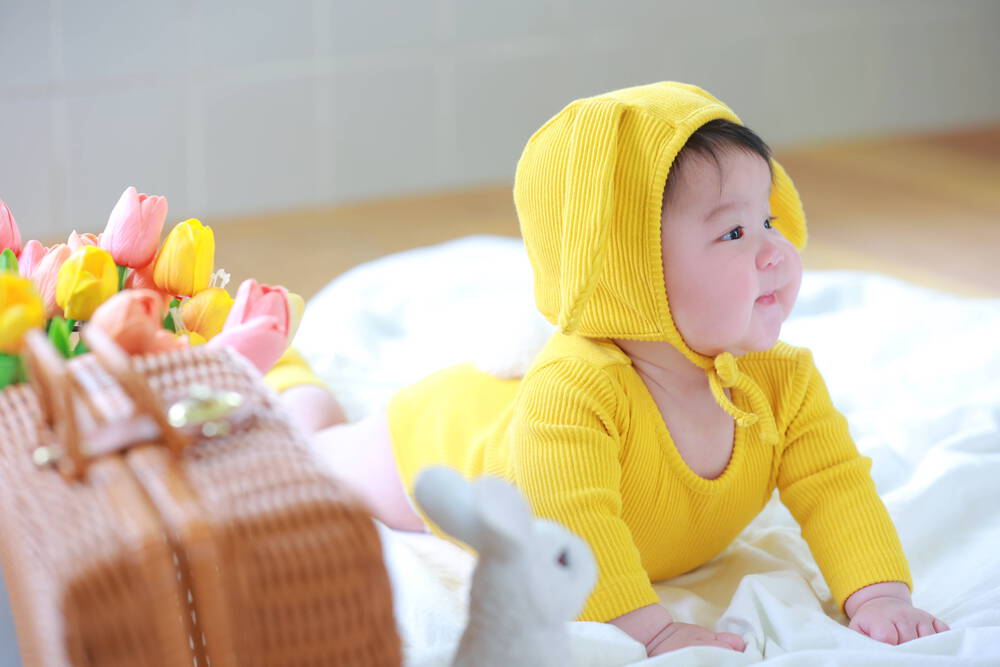 ブログ写真