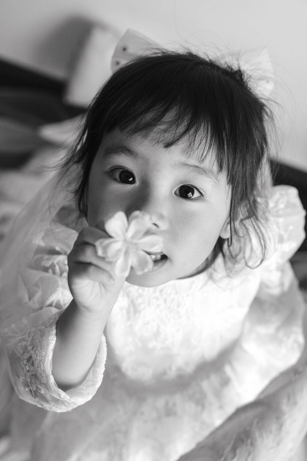 ブログ写真
