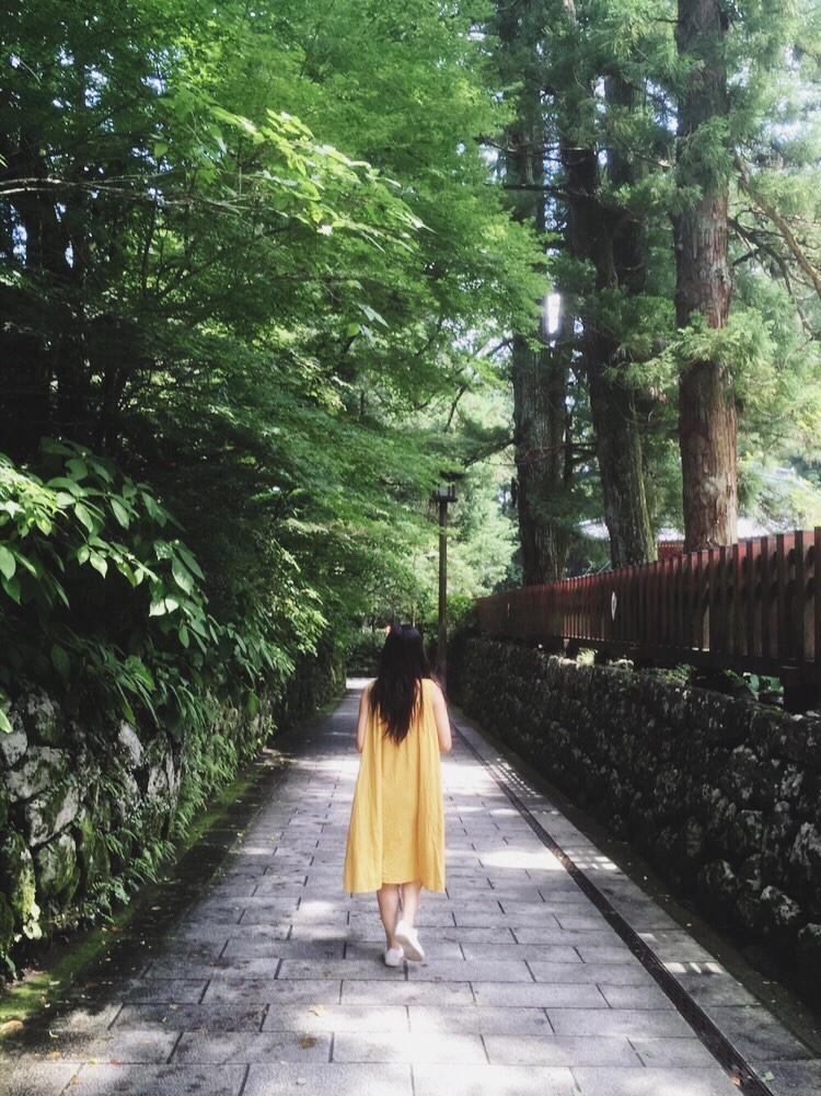 ブログ写真