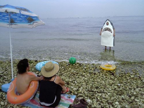 ブログ写真