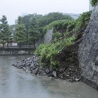 ブログ写真