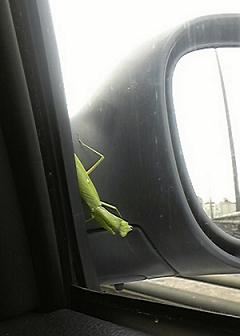 ブログ写真