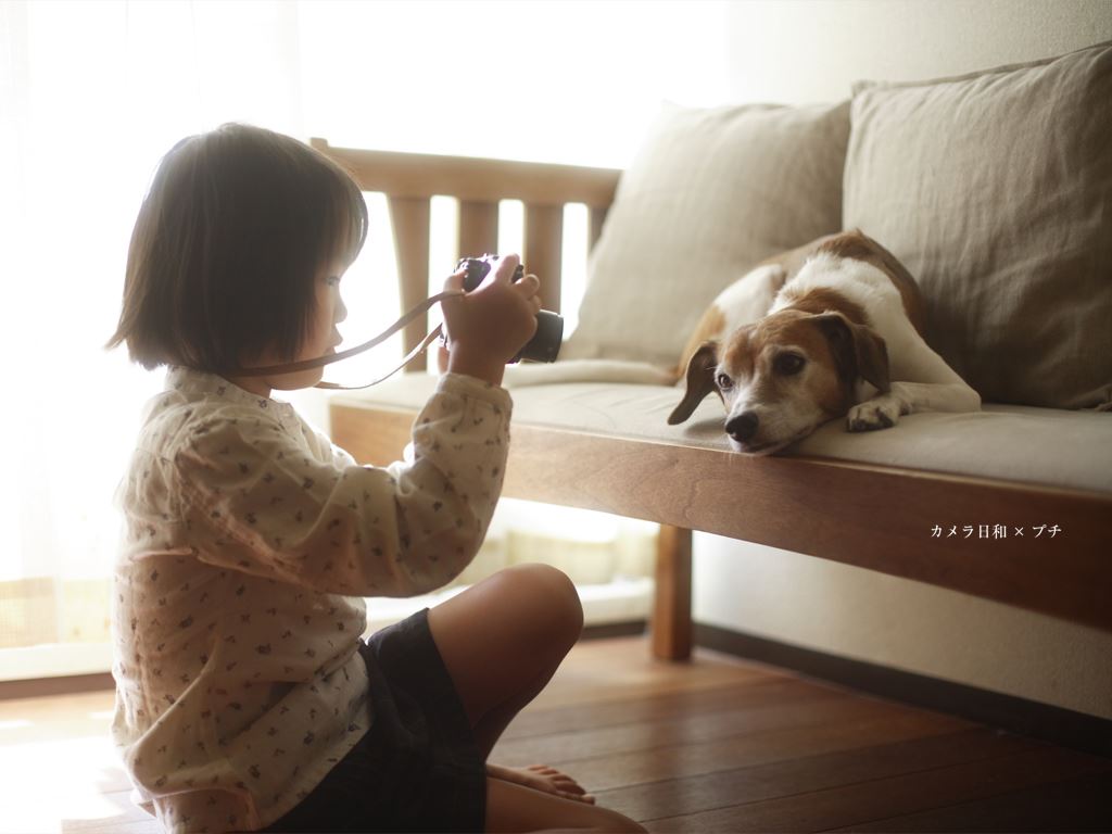 ブログ写真
