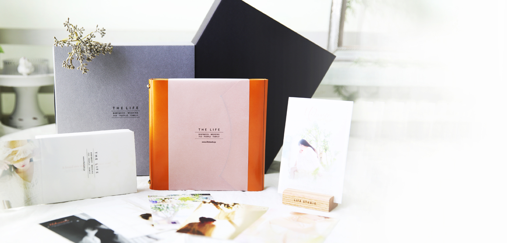 https://www.lifestudio.mom/img/system/thelifeplus-main_pc@2x.png